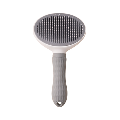 Brosse autonettoyante