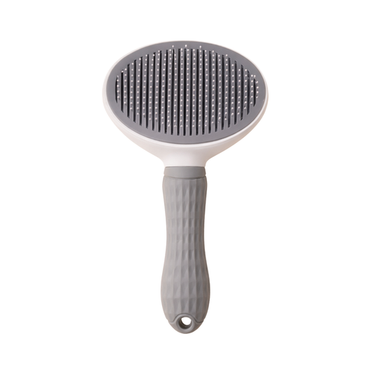 Brosse autonettoyante