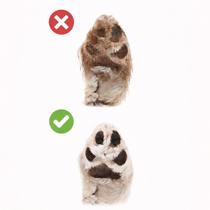 Nettoyeur de pattes automatique