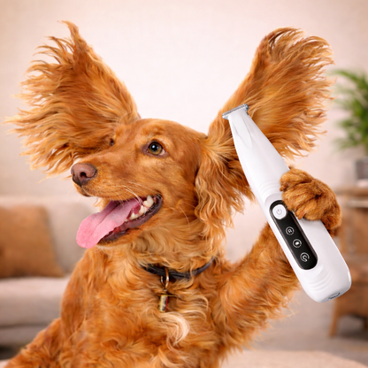 tondeuse de precision pour animaux